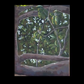 11(HS)- The Canopy by Oakley Gaddy item