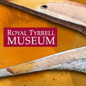 Family Adventure Package item