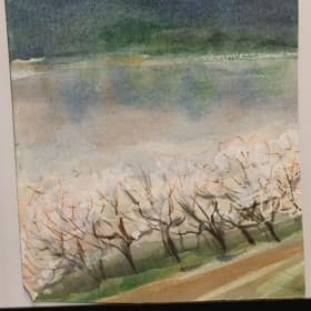 Spring Orchard Landscape item