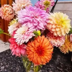 Weekly Wow ~ Dahlia Bouquet Delivered Weekly item