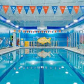 Goldfish Swim School Lessons item