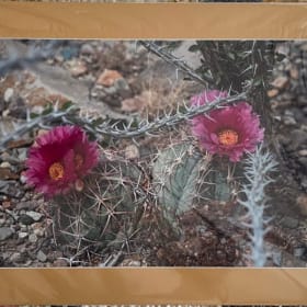 #25 "Eagles Claw" by Renowned Photographer Tim McKe item