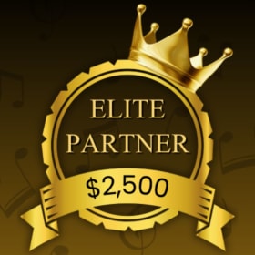Elite Partner (Tier 2) item