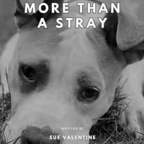 More than a Stray Storybook item