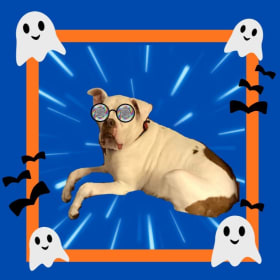 Time Warp (Beefy) item