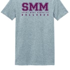 ADULT  Softstyle Tee Gray item