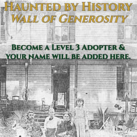 Level 3 Adoption item