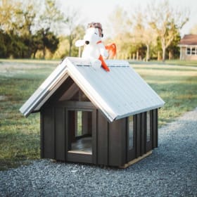 The Backyard Barn item