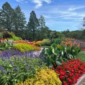 EXPERIENCE: 4 Tickets to Minnesota Landscape Arboretum item
