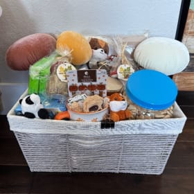 #4 Woodland Animal Basket - Jams (1st) item