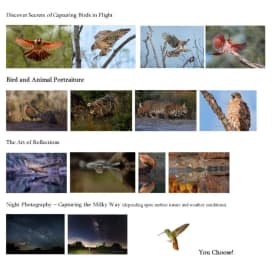 Private Ranch Nature Photography Workshop for Four! item