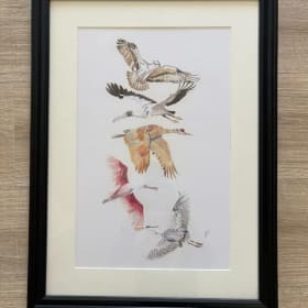 Birds in Fight Set item