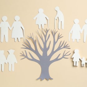 Digging Deeper Into Your Roots: Genealogy Program item