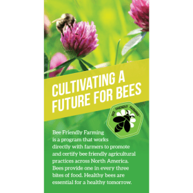 BFF Rack Cards (50) item