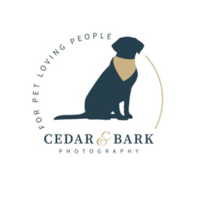 Photography Experience with Cedar & Bark Photography item
