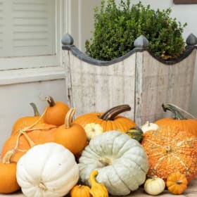 Holiday Home Decor item