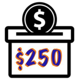 $250 Donation item