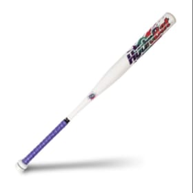Custom Baseball Bat by Will DeLong item