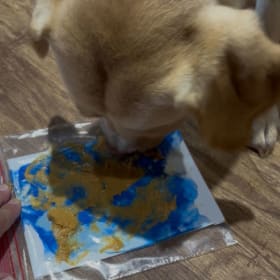 DIY Pup Painting - 5x7 Size item