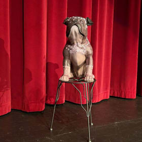 Chocolate Fudge item