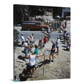 Canvas 3: 1998 Bucket Line item