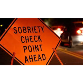 Walk the Line: A Buzzed Field Sobriety Experience item