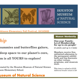 HMNS Family Membership item