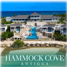 Vacation Package: 10 Nights at Hammock Cove Antigua item