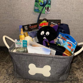 #31 Pawsitively Perfect Pet Basket item