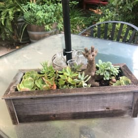 Succulent Planter with Margaret Hudson Giraffe item