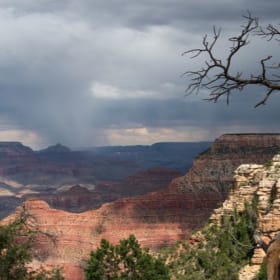 Canvas Print Photos 16 X 20 item