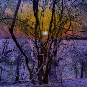 Pull of The Setting Sun item