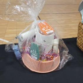 Scentsy warmer basket item