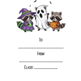 Ghost/ Raccoon friends item