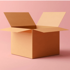 REQUIRED SHIPPING FEE item