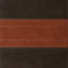ESV Study Bible item