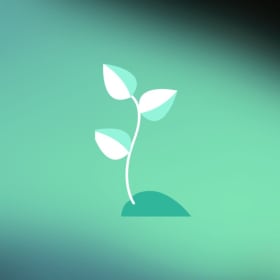 Don - Planter une graine item