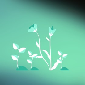 Don - Cultiver nos valeurs item