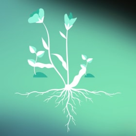 Don - Ancrer nos racines item