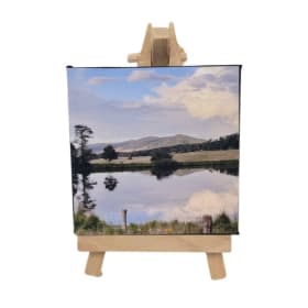 "Monday Pond" by Tomi Herold item