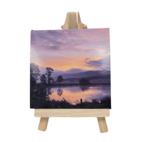 "Wednesday Pond" by Tomi Herold item