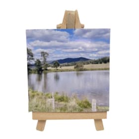 "Thursday Pond" by Tomi Herold item