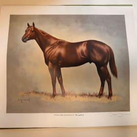 🐎 Darol Dickinson “The Color of Horses” Limited Edition 1/2 item