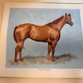 🐎 Darol Dickinson “The Color of Horses” Limited Edition 1/2 item