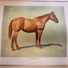 🐎 Darol Dickinson “The Color of Horses” Limited Edition 1/2 item
