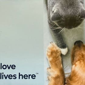 $25 Gift certificate from Cranbrook Veterinary Hospital item