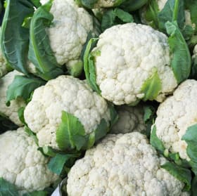 Friday Vegan Dinner item