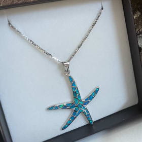 Starfish Earrings and Necklace Set item