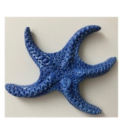 Sea Star item