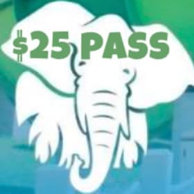 $25 pass item